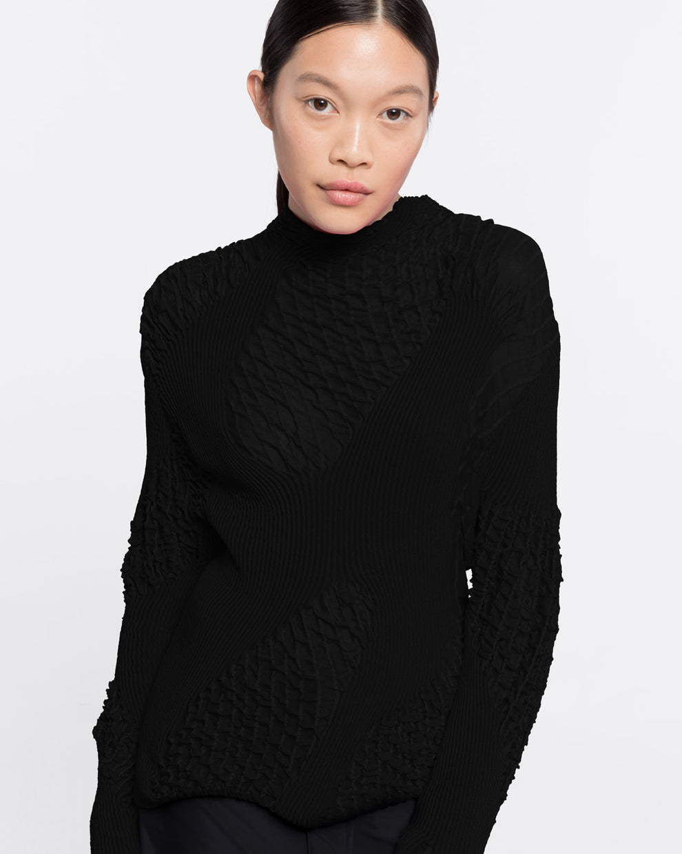 TEXTURED KNIT TURTLENECK TOP - BLACK - AZ Factory